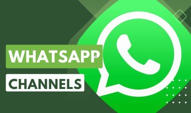 WhatsApp Introduces 'Channels' For Broadcast Messaging, Allowing Users To Receive Updates From Individuals And Organizations