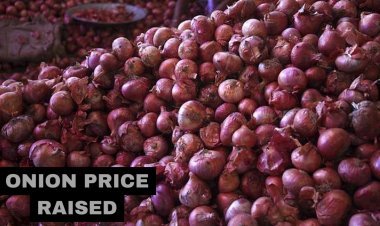 Onion Price Raised To 5 lakh MT; NCCF To Sell At Rs 25/kg Starting Monday