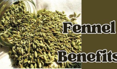 Fennel Benefits: Offer Various Science-Backed Benefits, from Reducing Inflammation & Promoting Overall Health