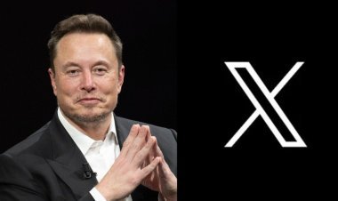 Elon Musk Reveals Upcoming AI-Driven News Feed Feature For X Users, Promising Enhanced Content Personalization