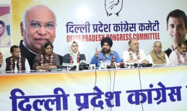 Delhi Pradesh Congress Committee President Arvinder Singh Lovely Blames BJP & Delhi Govt For Air Pollution And High Prices