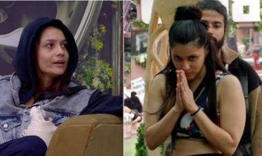 Bigg Boss 17: Ankita LokhandeEXPOSED Mannara Chopra Of Insecurity, Mocking Her As 'Dumbo' During A Heated Altercation!