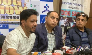 Royal Kennel Club Hosts Massive Dog Show In Panchkula, Showcasing Diverse Breeds