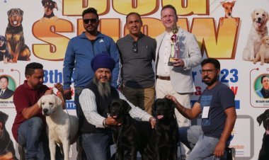 Panchkula's Mega Dog Show Kicks Off With Rottweiler & Labrador Champions Claiming Top Honors