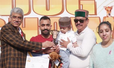 Mega Dog Show Panchkula Concludes With Diverse Breeds, Drawing Enthusiasts From Across Tricity