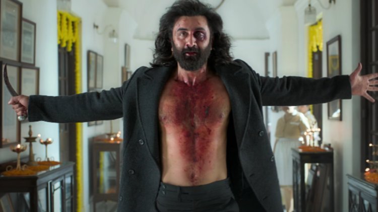 Animal Review: Ranbir Kapoor & Bobby Deol In Revenge Saga, Promising Intense Cinematic Thrills