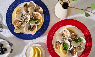 PotsandPans introduces the magical Disney100 Limited Edition Cookware, a delightful collaboration of Meyer and Disney