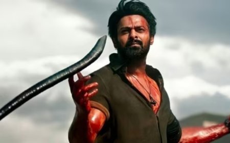 Salaar Movie Review: Prabhas Marks A Triumphant Return With Telugu Action Thriller