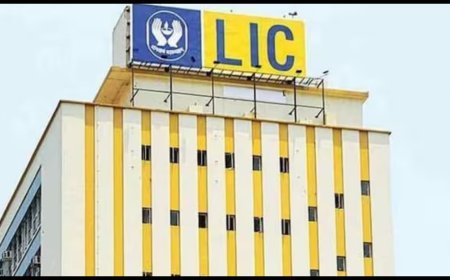 LIC Shares Skyrocket 9%, Becoming India's 4th Largest Stock, Surpassing ICICI Bank In Market Cap