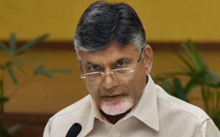 N. Chandrababu Naidu To Be Sworn In As Andhra Pradesh Chief Minister On June 12