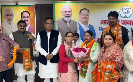 Rajkumar Anand Declares AAP's Downfall Has Begun As Thousands Join BJP On Constitution Day In Delhi