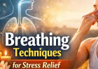 Breathing Techniques for Stress Relief: Simple Ways To Achieve Mental Peace